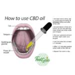 cbd-olie-how-to-use.